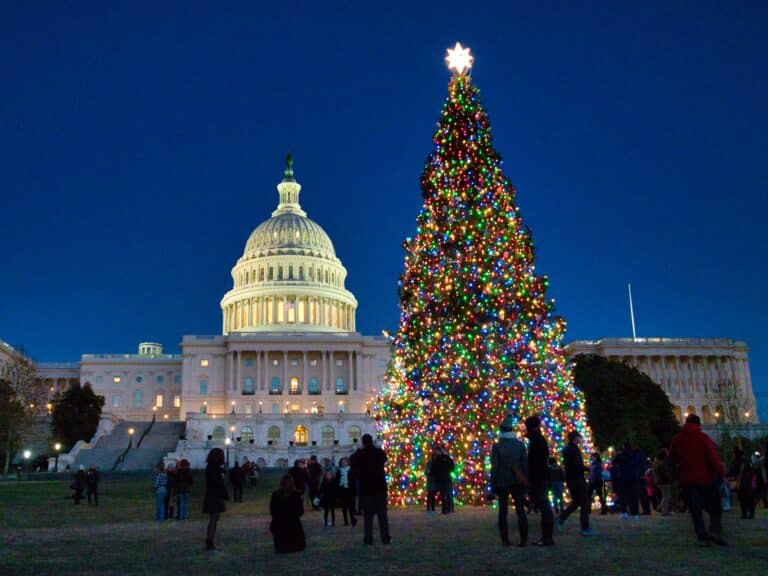 A large Christmas tree decorated with colorful lights stands in front of the U.S. Capitol building at dusk, with people gathered around.