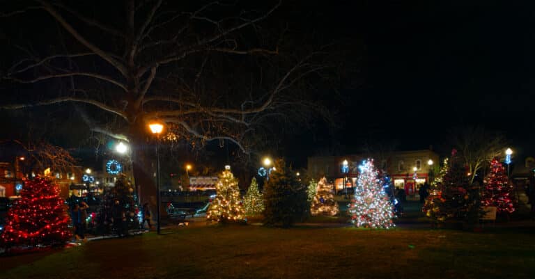 A row of illuminated Christmas trees in a park at night, surrounded by glowing streetlights and a dark, leafless tree.