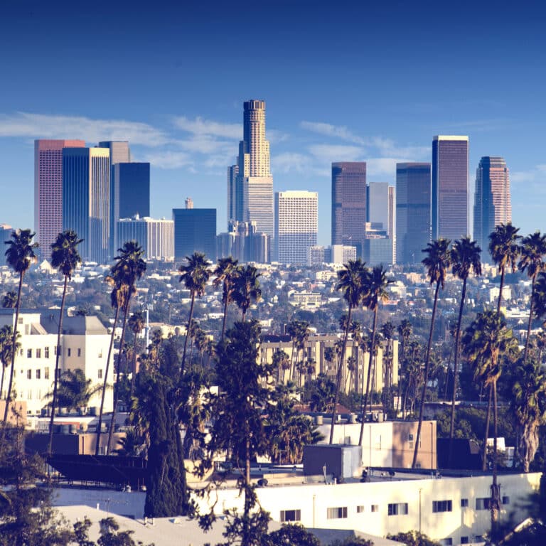 Skyline of a city with tall skyscrapers in the background and rows of palm trees in the foreground.