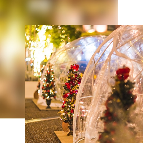 Christmas Markets Florida 2025: Festive Holiday Destinations Across the Sunshine State 2 enchanted village blur