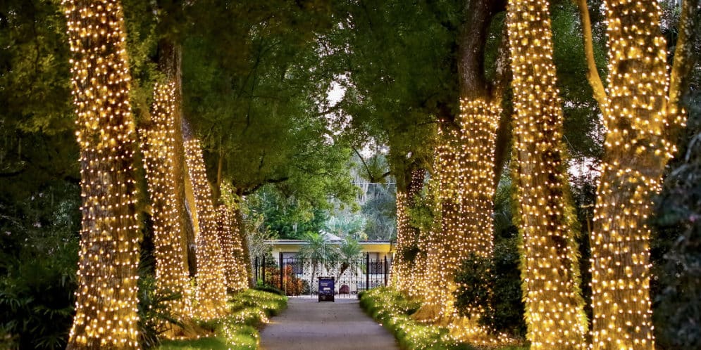 Christmas Markets Florida 2025: Festive Holiday Destinations Across the Sunshine State 5 florida