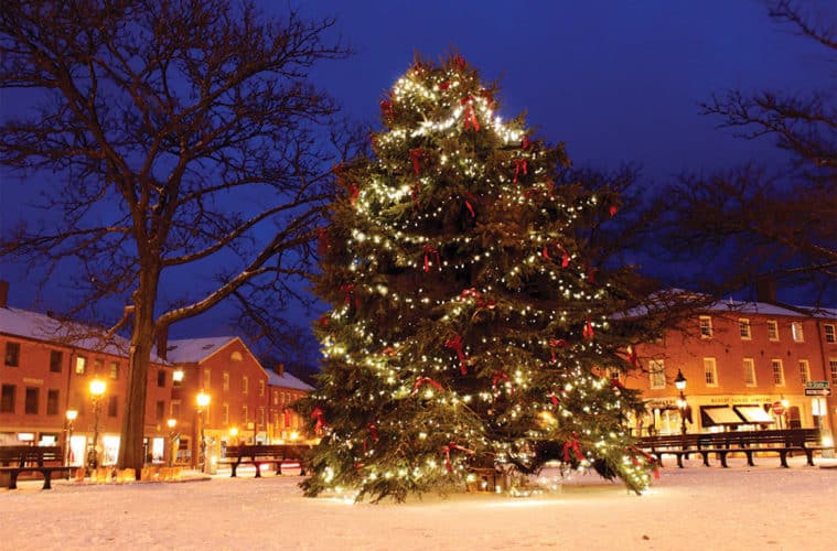 Christmas Markets Massachusetts 2025: Best Festive Events and Holiday Fairs 7 A large outdoor Christmas tree decorated with lights and ornaments stands in a snowy town square at night, surrounded by buildings and trees.