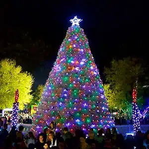 Christmas Markets Arizona 2025 Ultimate Guide to Festive Events, Lights & Holiday Shopping 4 tumbleweedtree