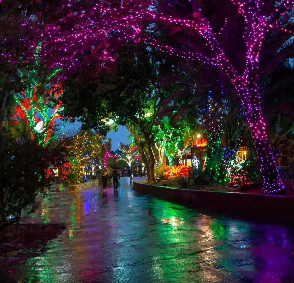 Christmas Markets Arizona 2025 Ultimate Guide to Festive Events, Lights & Holiday Shopping 6 zoolights
