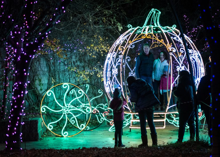 Best Christmas Light Shows New Mexico 2025: Top 7 Festive Displays Across the State 4 People stand inside a large, illuminated carriage made of lights shaped like a pumpkin, while others observe and take photos at night amidst trees decorated with purple string lights.