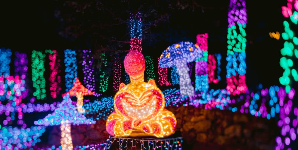 Christmas Markets Southern California 2025: Top 50 Festive Holiday Events and Locations 1 Colorful holiday lights display featuring a glowing orange crab at the center, surrounded by various bright, multicolored lights shaped like mushrooms and trees against a dark background.