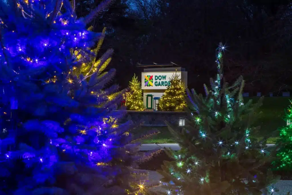 10 Dazzling Christmas Light Shows in Michigan You Can’t Miss in 2025 (Plus Free Spots & Secret Local Favorites!) 6 Christmas trees with blue and yellow lights decorate a garden at night, with a lit sign reading "Dow Gardens" visible in the background.