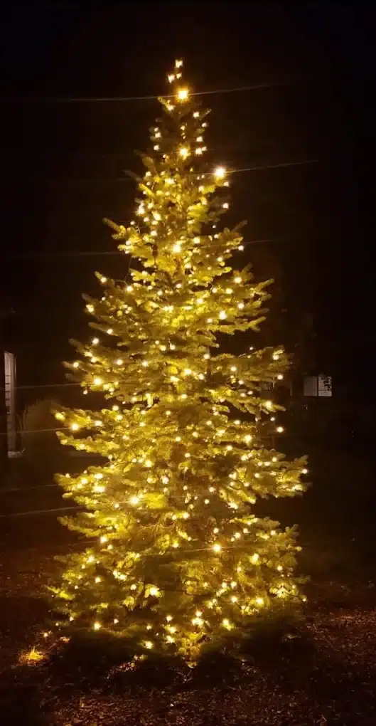 10 Unmissable Christmas Light Displays in Idaho That Will Leave You Speechless This Holiday Season! 7 Idahoholidaylighting