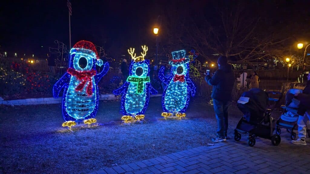 Must-See Christmas Light Displays in Illinois That Will Blow You Away This Winter 1 Napierlights