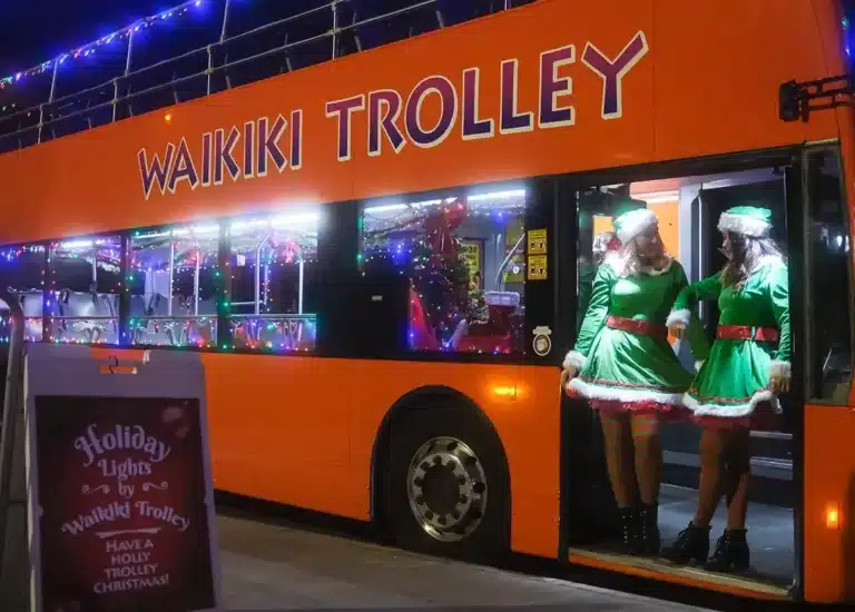 You Won’t Believe How Hawaii Transforms for Christmas—5 Magical Light Displays That Rival the Mainland!