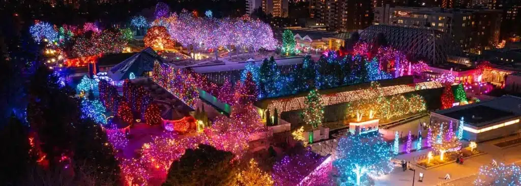 Unforgettable Christmas Light Shows in Colorado You Can’t Miss in 2025 (With Insider Tips & Hidden Gems!) 1 blossomsoflight