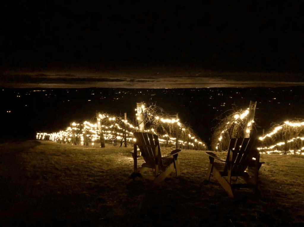 50 Magical Christmas Markets in Virginia for 2025 You Can’t Miss: Ultimate Guide to Festive Events & Holiday Shopping 2 bluemontvineyard