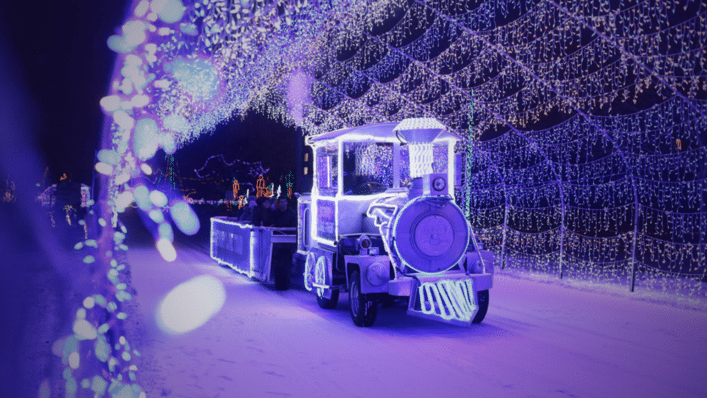 10 Dazzling Christmas Light Shows in Michigan You Can’t Miss in 2025 (Plus Free Spots & Secret Local Favorites!) 8 A small train decorated with bright white and purple lights drives through a tunnel covered in hanging holiday lights on a snowy night.