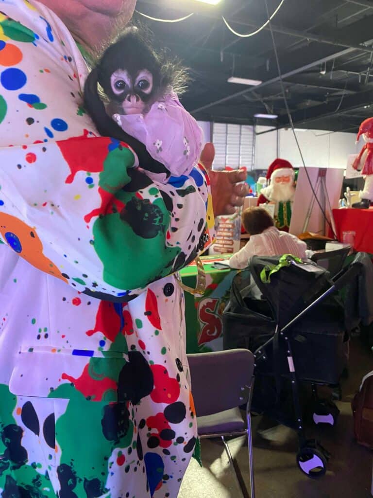 10 Jaw-Dropping Christmas Light Shows in New Hampshire You Can’t Miss in 2025 (With Insider Tips & Hidden Gems!) 8 A person in a colorful, paint-splattered jacket holds a small black-and-white monkey. The background shows people, a stroller, and Christmas decorations indoors.