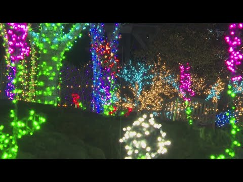Maine’s Ultimate 2025 Christmas Light Guide: Discover Hidden Sparkling Gems & Holiday Magic Displays You Can’t Miss!