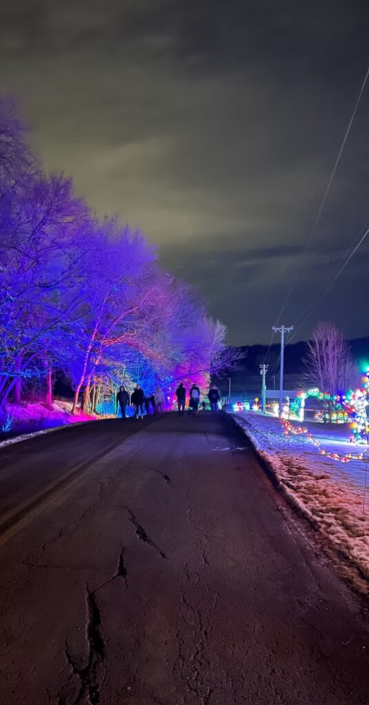 10 Magical Christmas Light Displays in Iowa You Can’t Miss in 2025 (With FREE Spots & Hidden Gems!) 4 holidaylightsonthelake