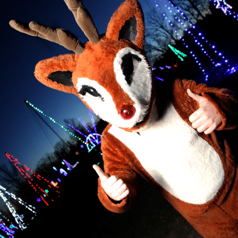 indychristmascarnival