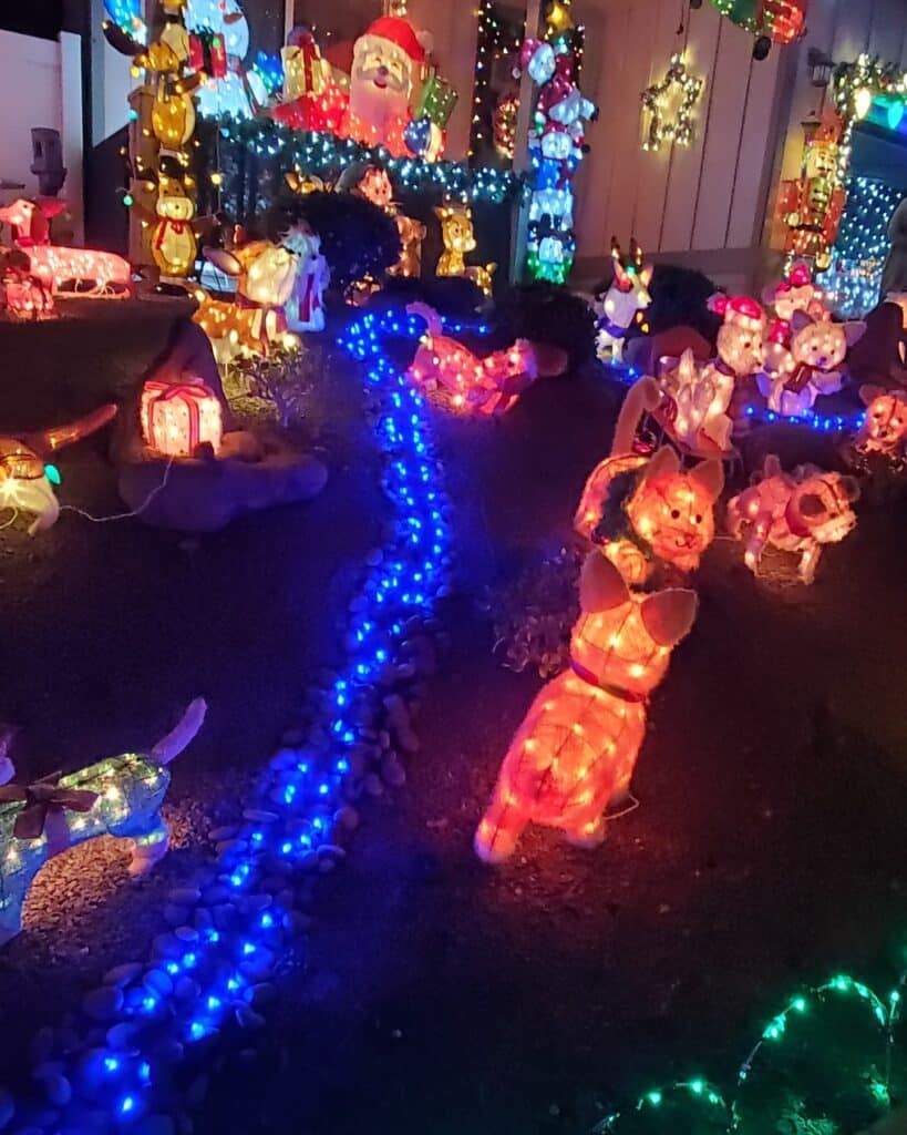 kevinschristmaslight