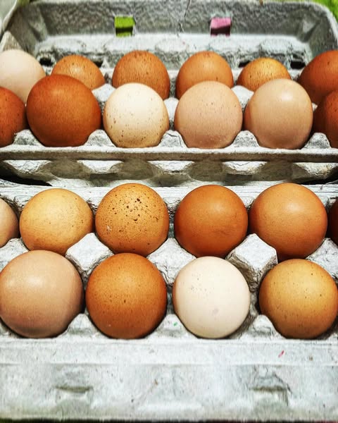 50 Magical Christmas Markets in Virginia for 2025 You Can’t Miss: Ultimate Guide to Festive Events & Holiday Shopping 8 A carton of brown eggs with varying shades, arranged in two rows inside a gray cardboard egg tray.