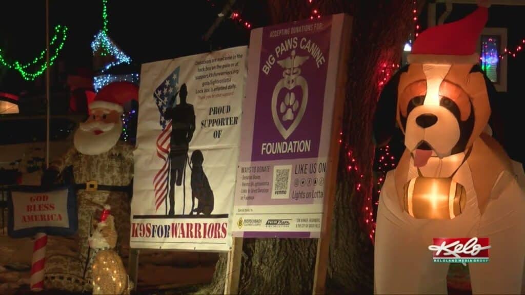 over 10000 raised from the popular lights on lotta so far