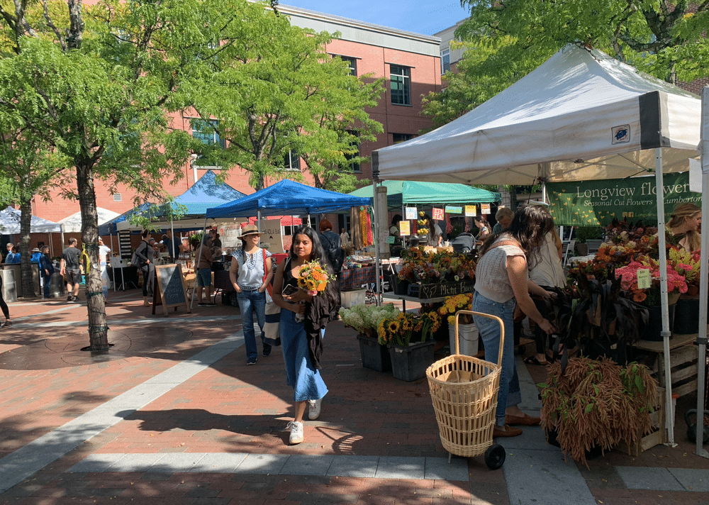 Christmas Markets New Jersey 2025: Must-See Festive Events and Hidden Gems 3 princetonmarket