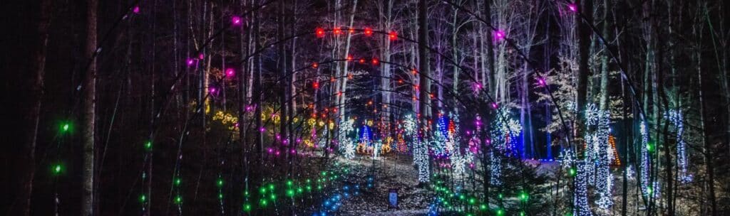 50 Magical Christmas Markets in Virginia for 2025 You Can’t Miss: Ultimate Guide to Festive Events & Holiday Shopping 4 A forest path is decorated with colorful holiday lights forming arches and wrapping around the trees at night.