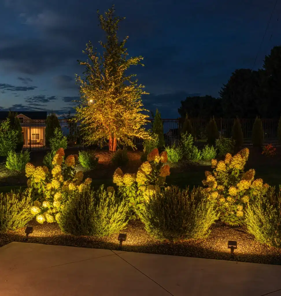 10 Unmissable Christmas Light Displays in Idaho That Will Leave You Speechless This Holiday Season! 3 silverbells