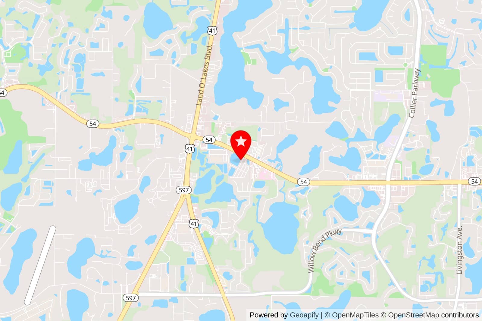 Best Christmas Light Displays Florida 2025: Top 50 Festive Locations to Visit 8 v2 u3yaq b4h87