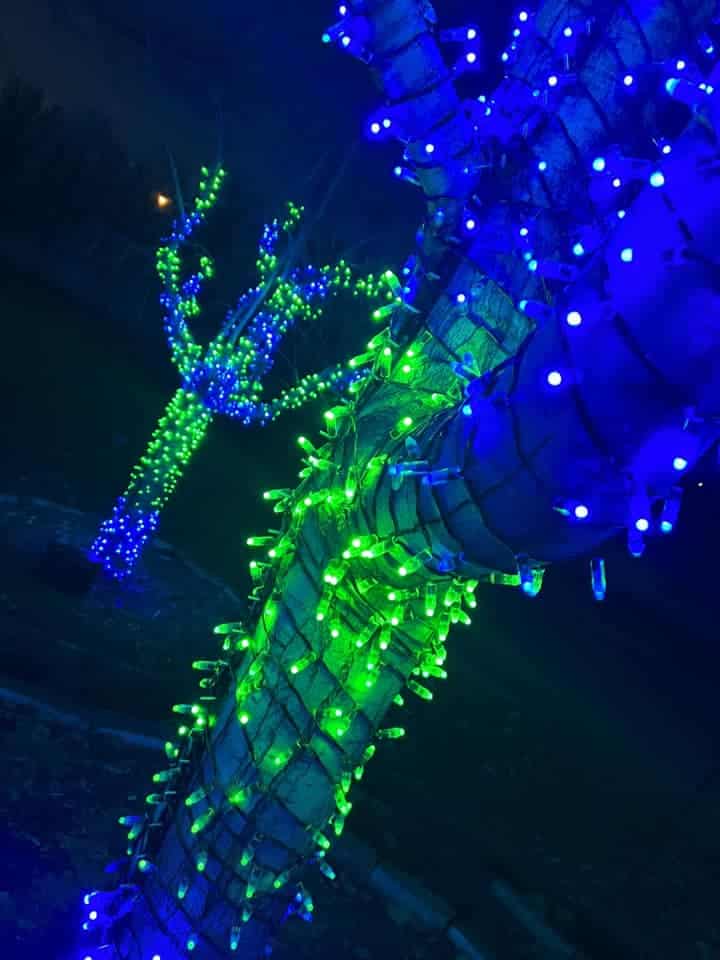 Kansas Christmas Light Shows 2025: The Ultimate Guide to the Most Stunning Holiday Displays You Can’t Miss! 3 Tree trunks wrapped in green and blue string lights glow brightly at night, with another illuminated tree visible in the background.