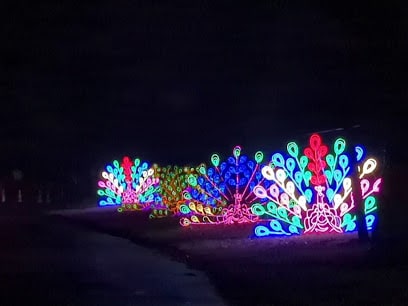 18 Magical Christmas Light Displays in Wisconsin You Can’t Miss in 2025 (Drive-Thrus, Walk-Thrus & Secret Neighborhood Gems!) 1 Three brightly lit peacock-shaped light displays in various colors are arranged along the side of a dark road at night.