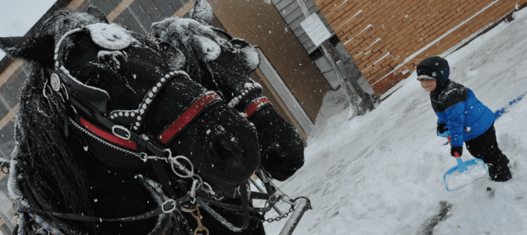 Christmas Markets North Dakota 2025: Complete Guide to Holiday Shopping and Festive Events